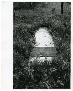 Image description is not available for PHO-4-W689-253